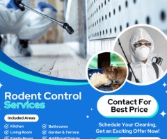 Call to Pest Control | Rodent Control Services in Felt, North Carolina