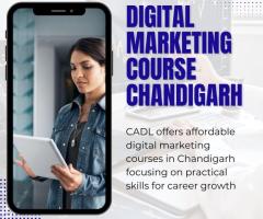 Digital Marketing Course In Chandigarh