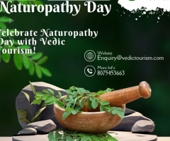 Discover the Power of Naturopathy: A Transformative Journey to Holistic Health and Wellness