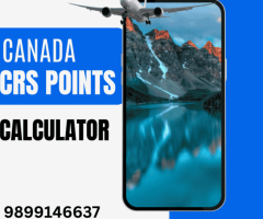 Calculate Your CRS Score Online – Canada PR Eligibility