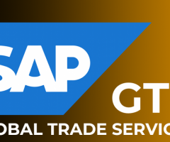 Sap GTS Online Coaching Classes In India, Hyderabad - 1