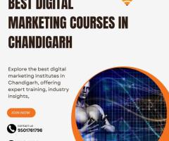 Best Digital Marketing Courses In chandigarh