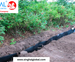 Applications of HDPE Root Barriers