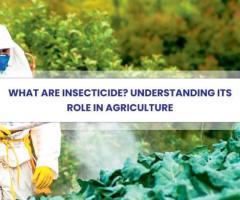 What are insecticides? their role in agriculture