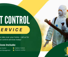 Protect Your Property with Professional Pest Control in Mill Park