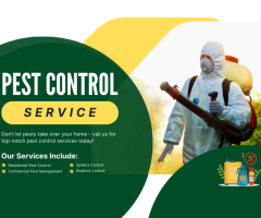 Protect Your Property with Professional Pest Control in Mill Park