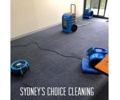 Professional Carpet Cleaning Services in Sydney