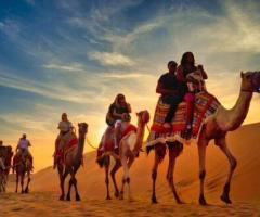 Morning Desert Safari: A Must-Experience Adventure