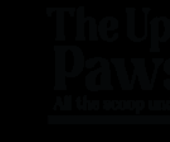 The Upper Pawside