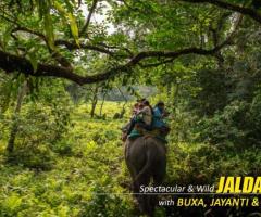 Dooars Package with Jaldapara Elephant Safari: A Journey Into the Wild