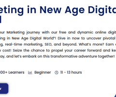 Amazing Insights in 11 Hours with our Online Digital Marketing Course