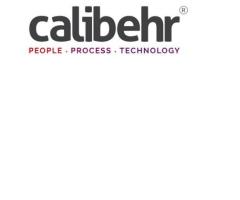 Top Business Solutions Provider Company in India – Calibehr