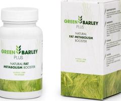 Green Barley Plus