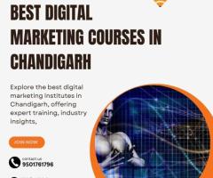 Digital Marketing Course in Chandigarh