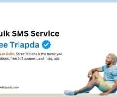 Why Shree Tripada is Delhi's Best Bulk SMS Provider?