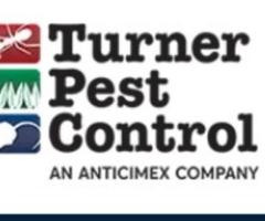 Pest Control Jacksonville, Orlando, Tampa, Ocala & Daytona Beach