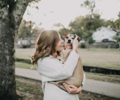 Stress-Free Dog Relocation Services You Can Trust