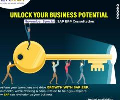 Leading ERP Solution Provider: TEKROI for Advanced SAP Services