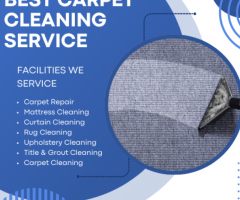 Affordable, Reliable, and Professional Carpet Cleaning in Burpengary