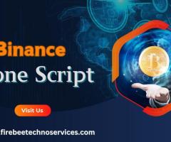 Choose Your Adaptable Binance Clone Script Provider