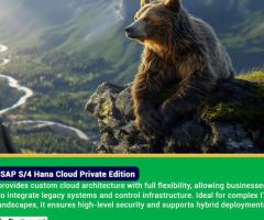 Leading SAP S/4HANA Private Cloud Partners in India | Ikyam