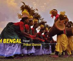 https://www.naturewings.com/packages/north-bengal-tour-packages