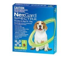 Top Benefits of NexGard Spectra Small Dogs - Petso Store