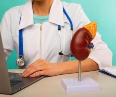 Kidney Function Test In Delhi