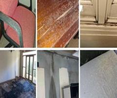 Mould Removal | Mould Remediation Sydney | Integrated Environmental