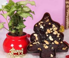 Send Christmas Gift Hampers Online With Yuvaflowers