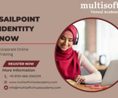 Sailpoint Identity Now Corporate Online Training - 1