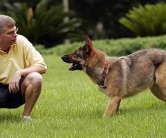 Top Dog Behavior Specialist & Training in Atlanta, GA