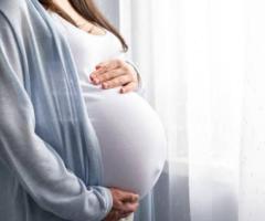 Conception Date Calculator: Plan Your Pregnancy Journey