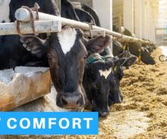 Maximize Farm Productivity with Superior Dairy Analytics