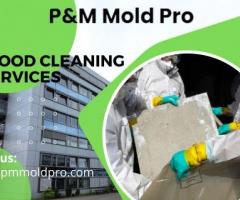 Affordable Flood Cleaning Services at PM Mold Pro - 1