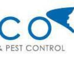 Ants Control Services in NJ - ALCO Animal & Pest Control