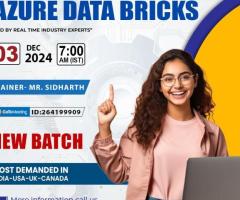 Azure Data Bricks Online New Batch