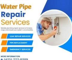 Express Repiping: Repipe Specialists Seattle