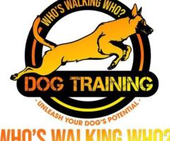 Who's Walking Who? Dog Training Utah