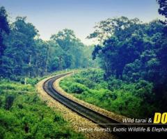 Experience Lush Greenery with Dooars Tour Packages from Kolkata