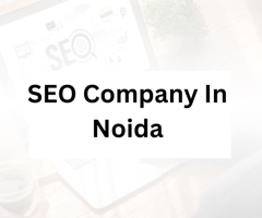 SEO Company In Noida