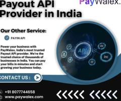 Best Payout API Provider in India