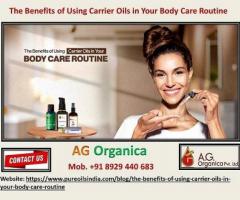 The Benefits of Using Carrier Oils in Your Body Care Routine - 1