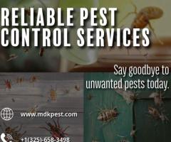 Best Pest Control Services Near Me (2024) - MDK Services