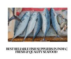 best Reliable Fish Suppliers in India | Fresh & Quality Seafood