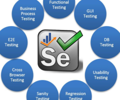 Manual+Selenium Testing Training Institute