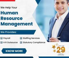 Specialized Staffing Solutions: IT and Non-IT Services for Your Business