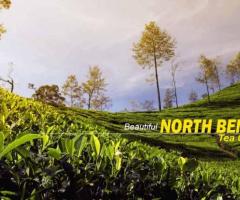 Discover Unforgettable Views on North Bengal Package Tour from Kolkata