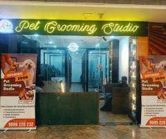 Pet Grooming Studio