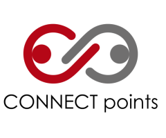 Master Technology Consultant Sales Skills with The Connect Points